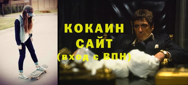 индика Лихославль