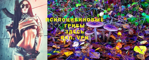 индика Лихославль
