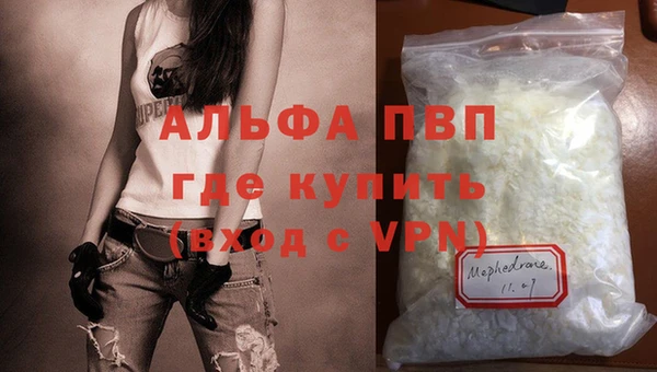 индика Лихославль