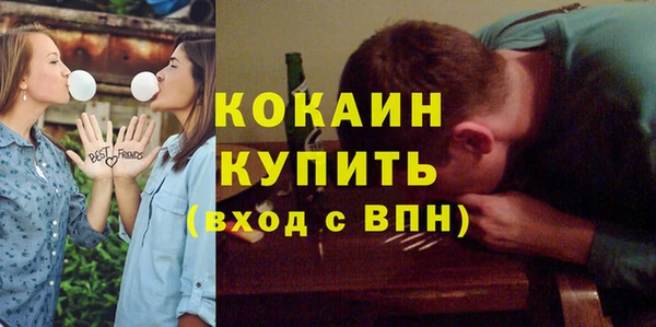 индика Лихославль