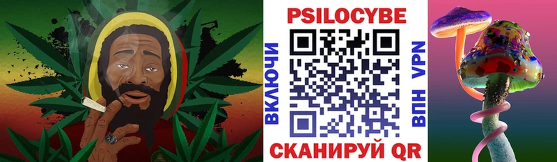 Псилоцибиновые грибы Psilocybine cubensis  закладки  Цоци-Юрт 